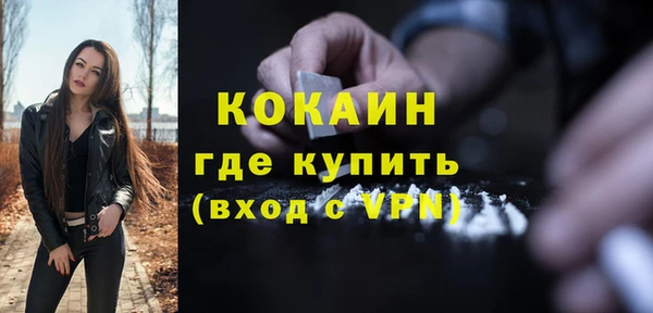 дмт Елизово