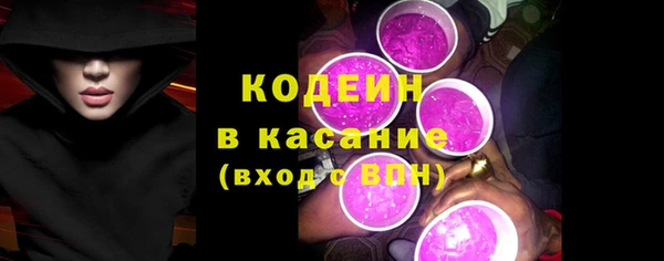 дмт Елизово