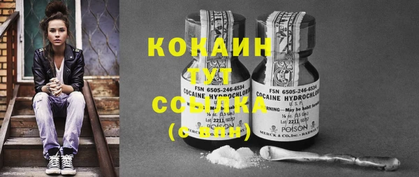 дмт Елизово
